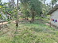 perch-40-land-for-sale-in-anuradapura-small-1