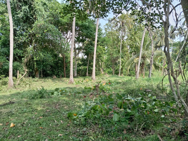 perch-40-land-for-sale-in-anuradapura-big-3