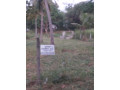 perch-16-land-for-sale-in-kurunegala-small-4