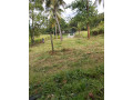 perch-16-land-for-sale-in-kurunegala-small-2