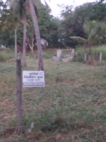 perch-16-land-for-sale-in-kurunegala-big-4