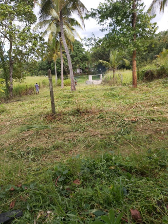 perch-16-land-for-sale-in-kurunegala-big-1