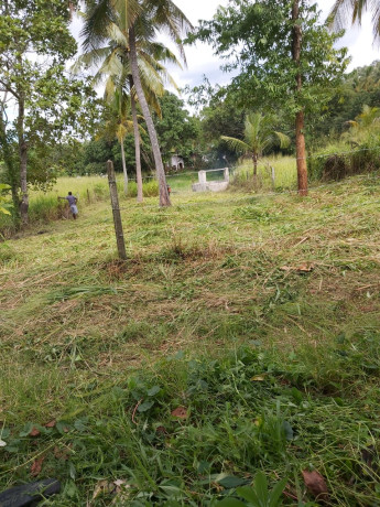 perch-16-land-for-sale-in-kurunegala-big-2