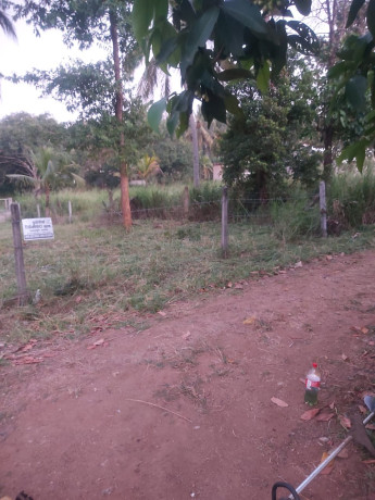 perch-16-land-for-sale-in-kurunegala-big-3