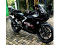 honda-cbr-250-gullarm-2008-small-4