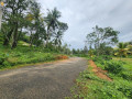 land-for-sale-in-koggala-small-4
