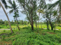 land-for-sale-in-koggala-small-2