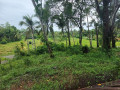 land-for-sale-in-koggala-small-3