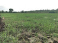 10-acres-land-for-sale-in-puttalam-small-1