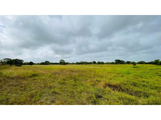 10 acres land for sale in puttalam