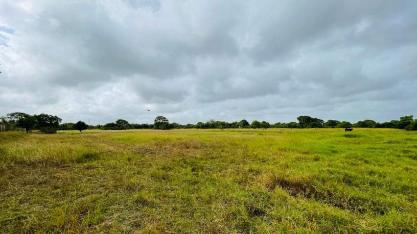 10-acres-land-for-sale-in-puttalam-big-0