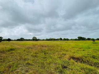 10-acres-land-for-sale-in-puttalam