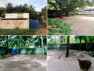 Perch 62.5 land for sale in puttalam town
