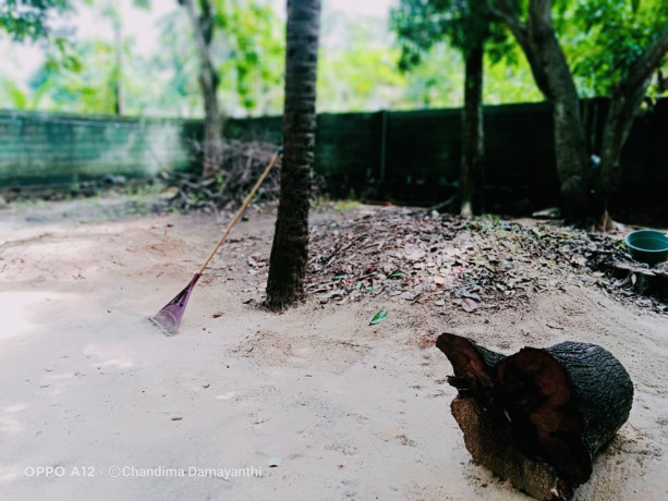 perch-625-land-for-sale-in-puttalam-town-big-3