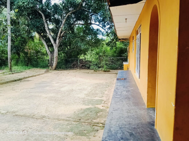 perch-625-land-for-sale-in-puttalam-town-big-1