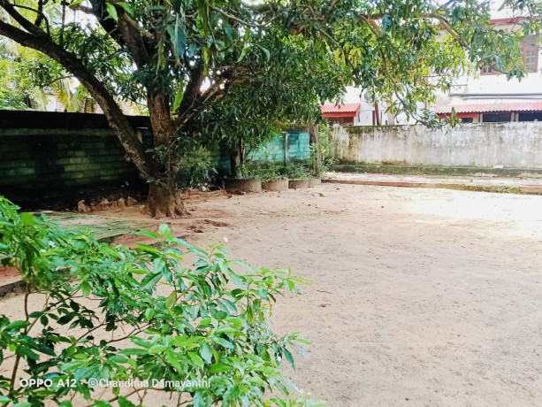 perch-625-land-for-sale-in-puttalam-town-big-2
