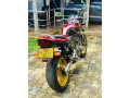 honda-hornet-ch110-2012-small-2