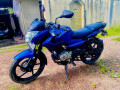 bajaj-pulsar-135-2012-small-0