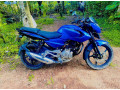 bajaj-pulsar-135-2012-small-3