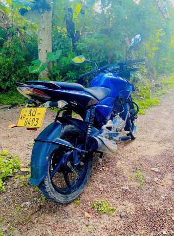 bajaj-pulsar-135-2012-big-2