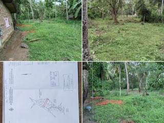 perch-40-land-for-sale-in-anuradapura