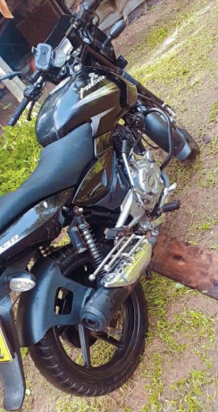 bajaj-pulsar-150-2014-big-3