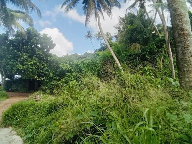 beachfront-land-for-sale-in-mirissa-big-2