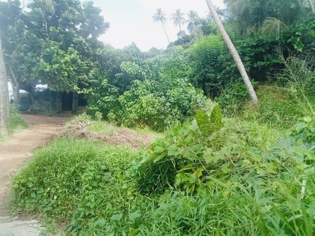beachfront-land-for-sale-in-mirissa-big-4