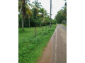 coconut-land-for-sale-in-katana-small-1