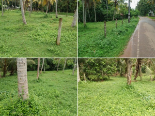 coconut-land-for-sale-in-katana