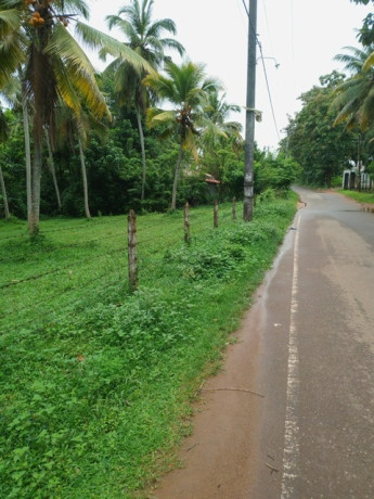 coconut-land-for-sale-in-katana-big-1