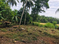 land-for-sale-in-gampaha-small-4