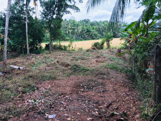 land-for-sale-in-gampaha-big-1