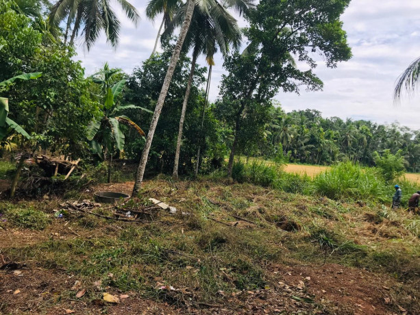 land-for-sale-in-gampaha-big-4