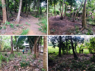 40-perch-land-for-sale-in-anuradapura