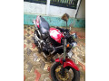 honda-hornet-ch115-2009-small-2