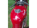 honda-cbr-250-gullarm-2003-small-3