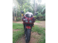 honda-cbr-250-gullarm-2003-small-1