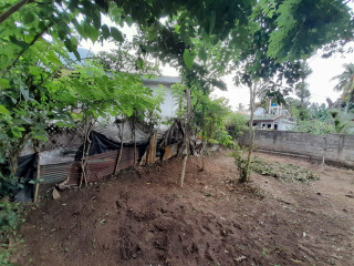 perch-66-land-for-sale-in-matale