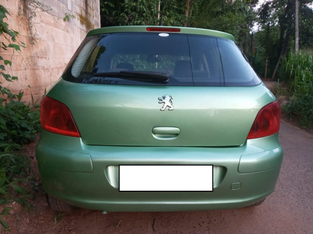 peugeot-307-big-2