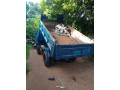 toyota-dayna-tipper-small-1