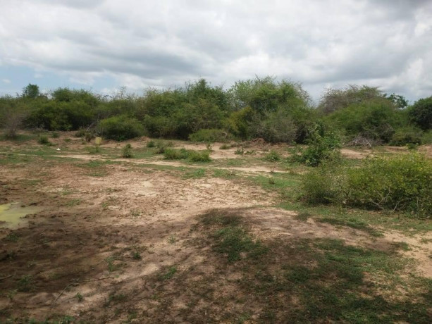 300-acres-land-for-sale-in-hambantota-big-3