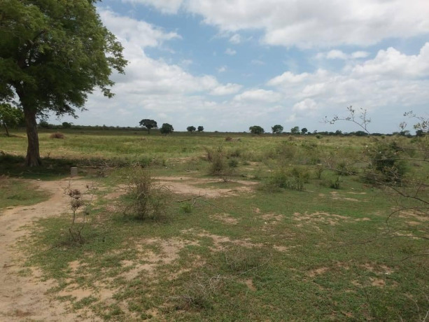 300-acres-land-for-sale-in-hambantota-big-2