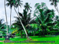 perch-138-land-for-sale-in-gampaha-small-2