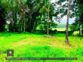 perch-138-land-for-sale-in-gampaha-small-4