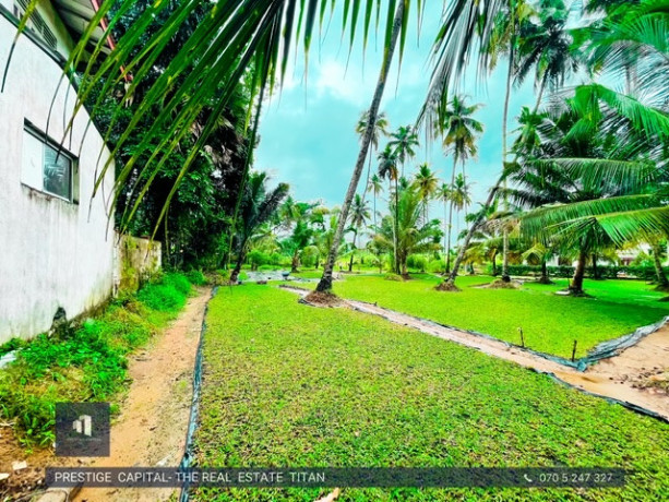 perch-138-land-for-sale-in-gampaha-big-3