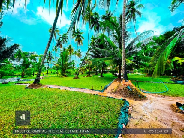 perch-138-land-for-sale-in-gampaha-big-1