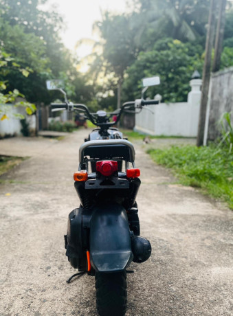 honda-zoomer-big-4