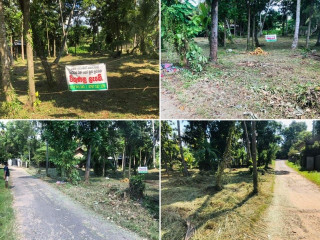 perch-54-land-for-sale-in-kurunegala