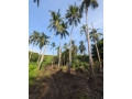 perch-54-land-for-sale-in-tangalle-town-small-1